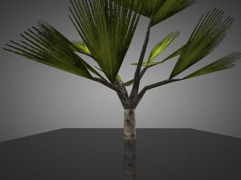 Plant for Chicken