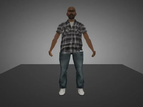 GTA SA Neighbor