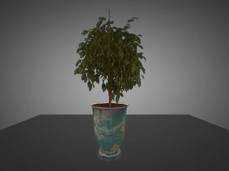 Plant