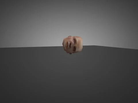 Hostage Head