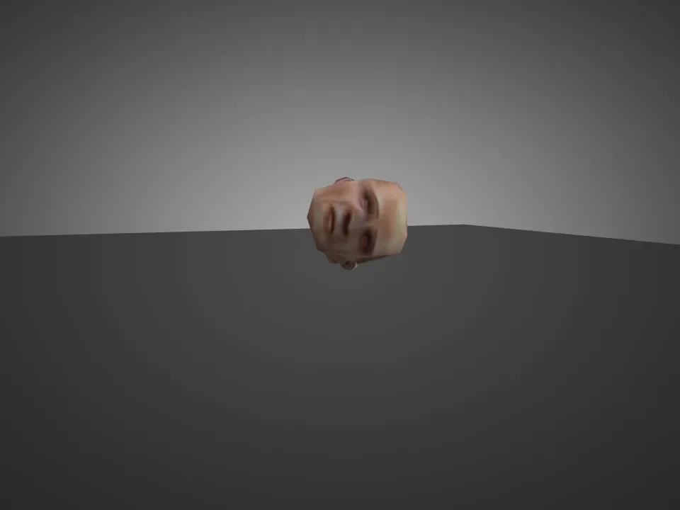 Hostage Head