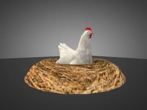 Nest Chicken
