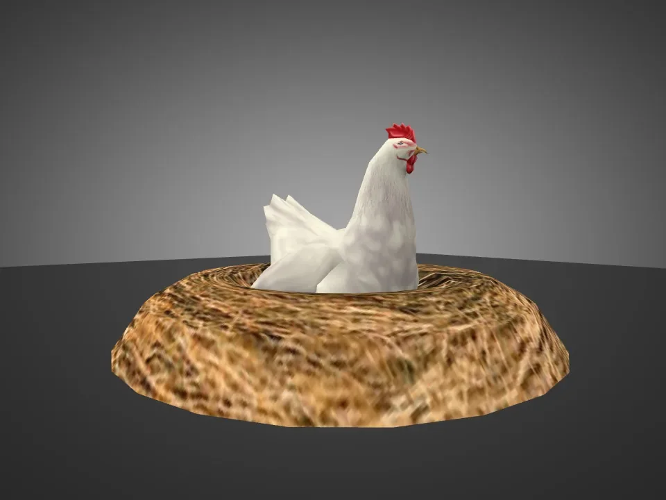 Nest Chicken