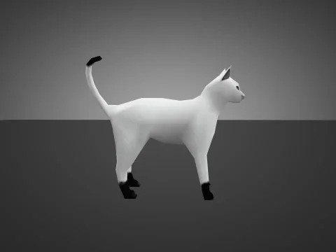White Cat for Chicken
