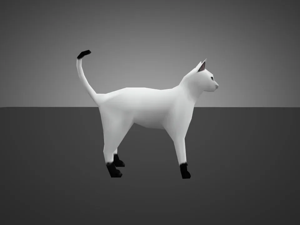 White Cat for Chicken