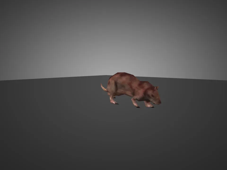 HL1 Rat