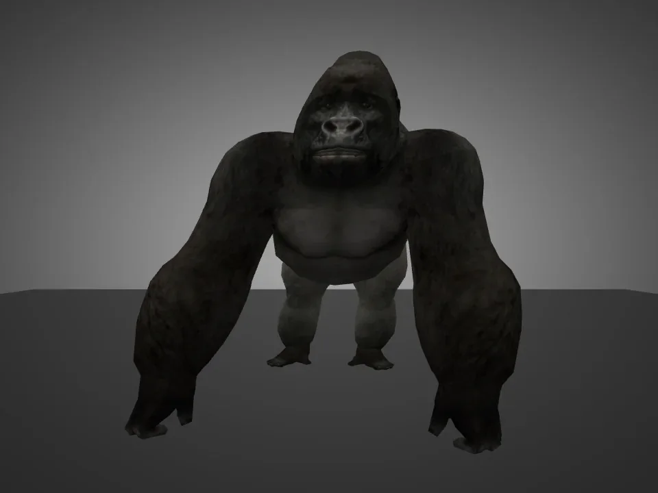 Little Gorilla