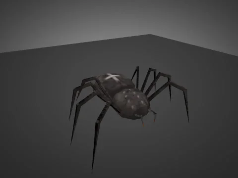Spider