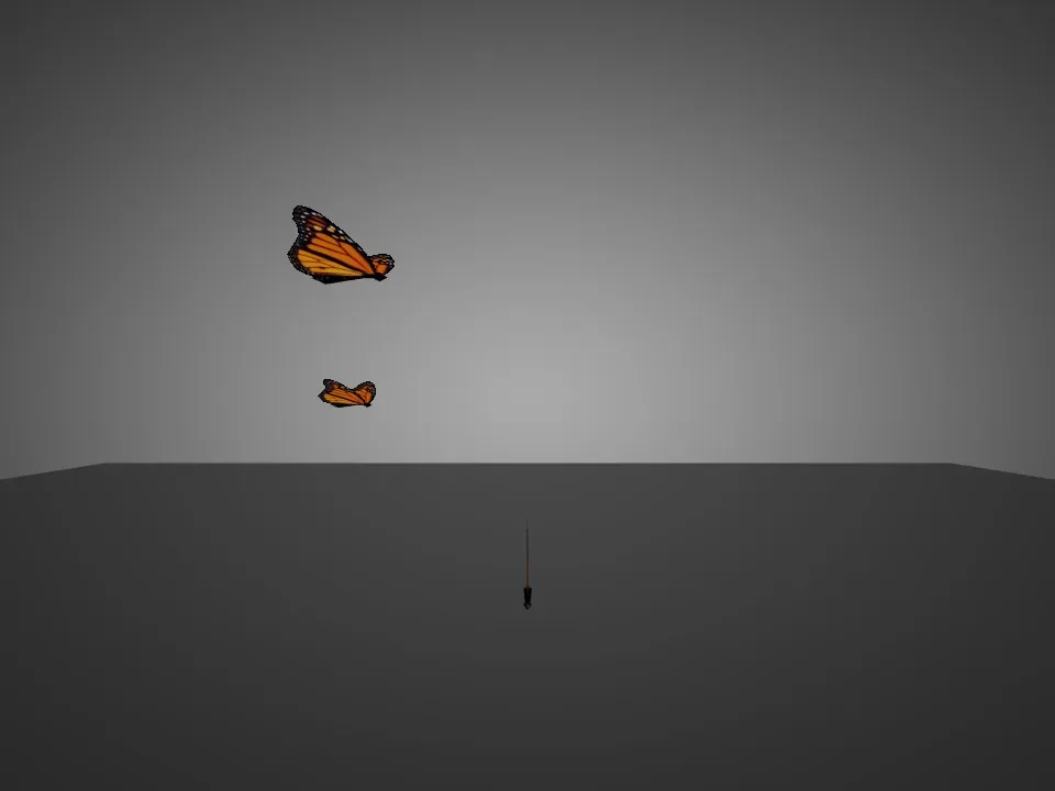 Butterfly