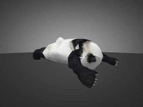 Sleeping Baby Panda