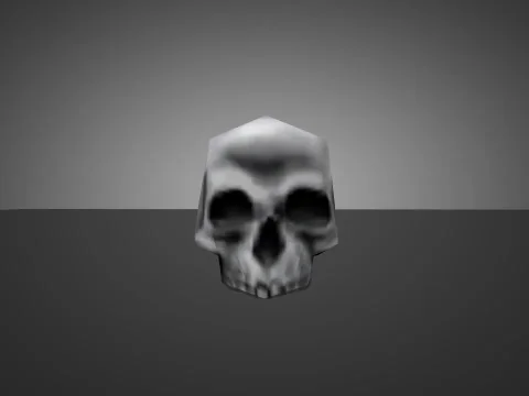 Skull